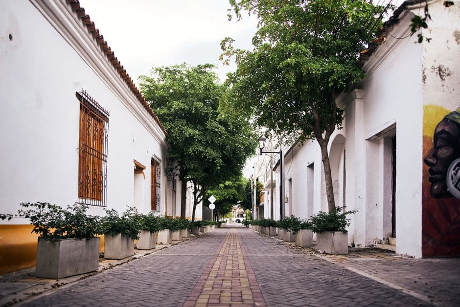 Camino pavimentado entre árboles y edificios de hormigón, en el chat de Santa Rosa del Sur