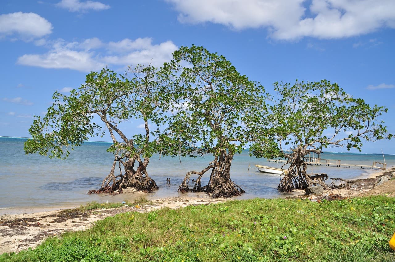 Costa tropical de Honduras para ir de vacaciones, en el chat de Atima