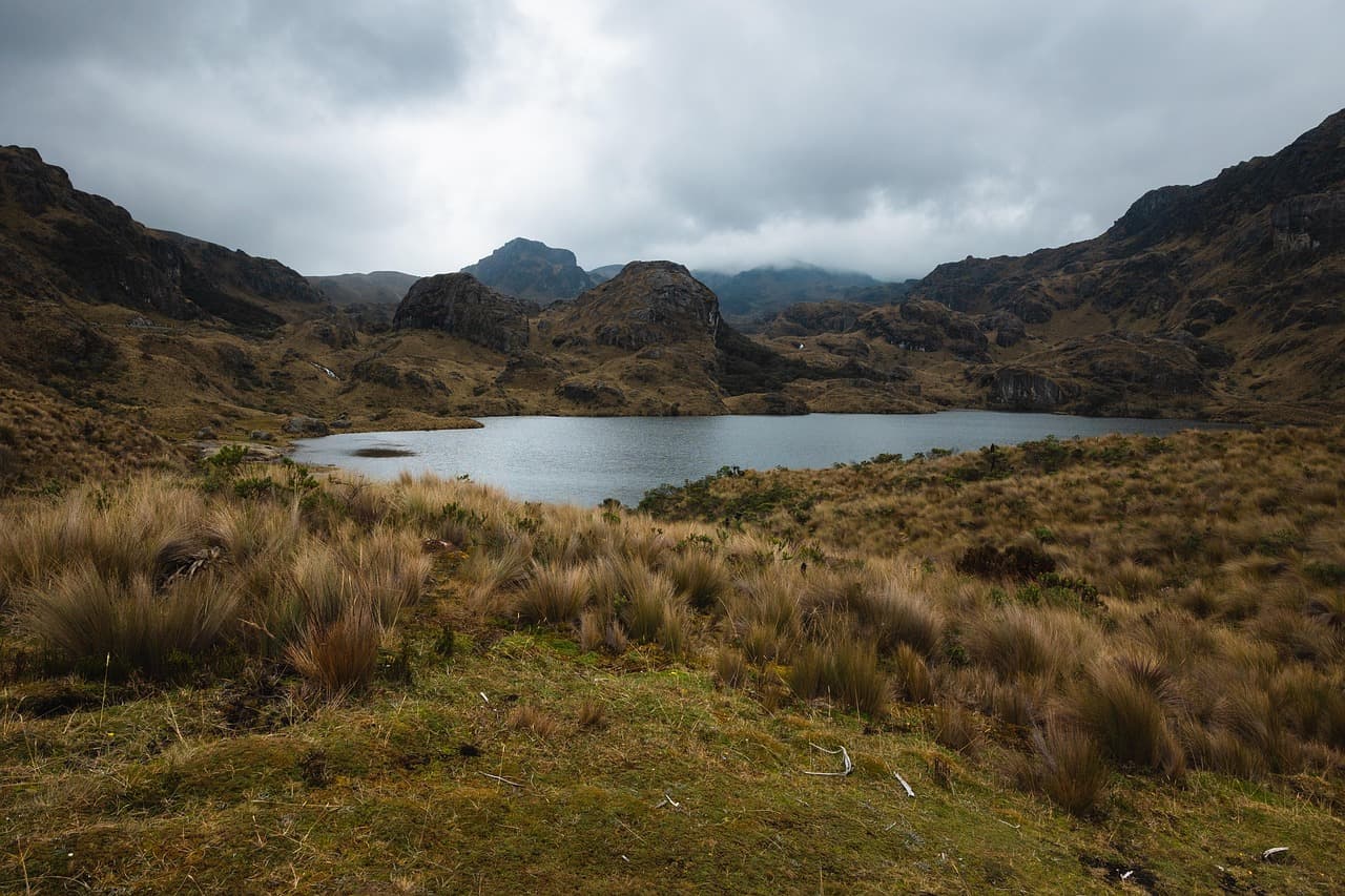 Bosque, lago, montaña y pradera, en el chat de Zamora