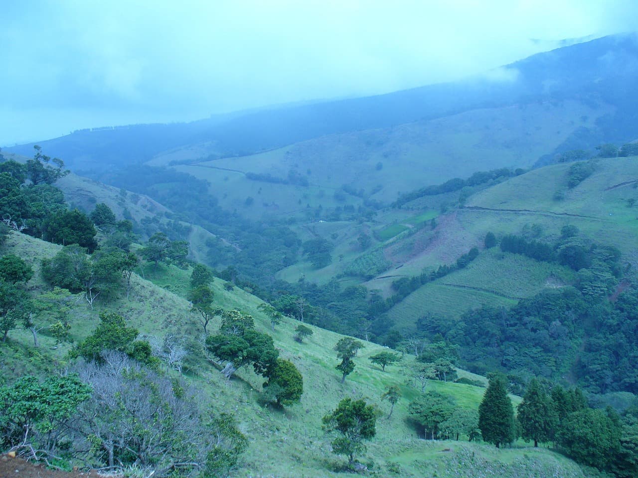 Paisaje de Costa Rica entre la niebla, en el chat de Pozos