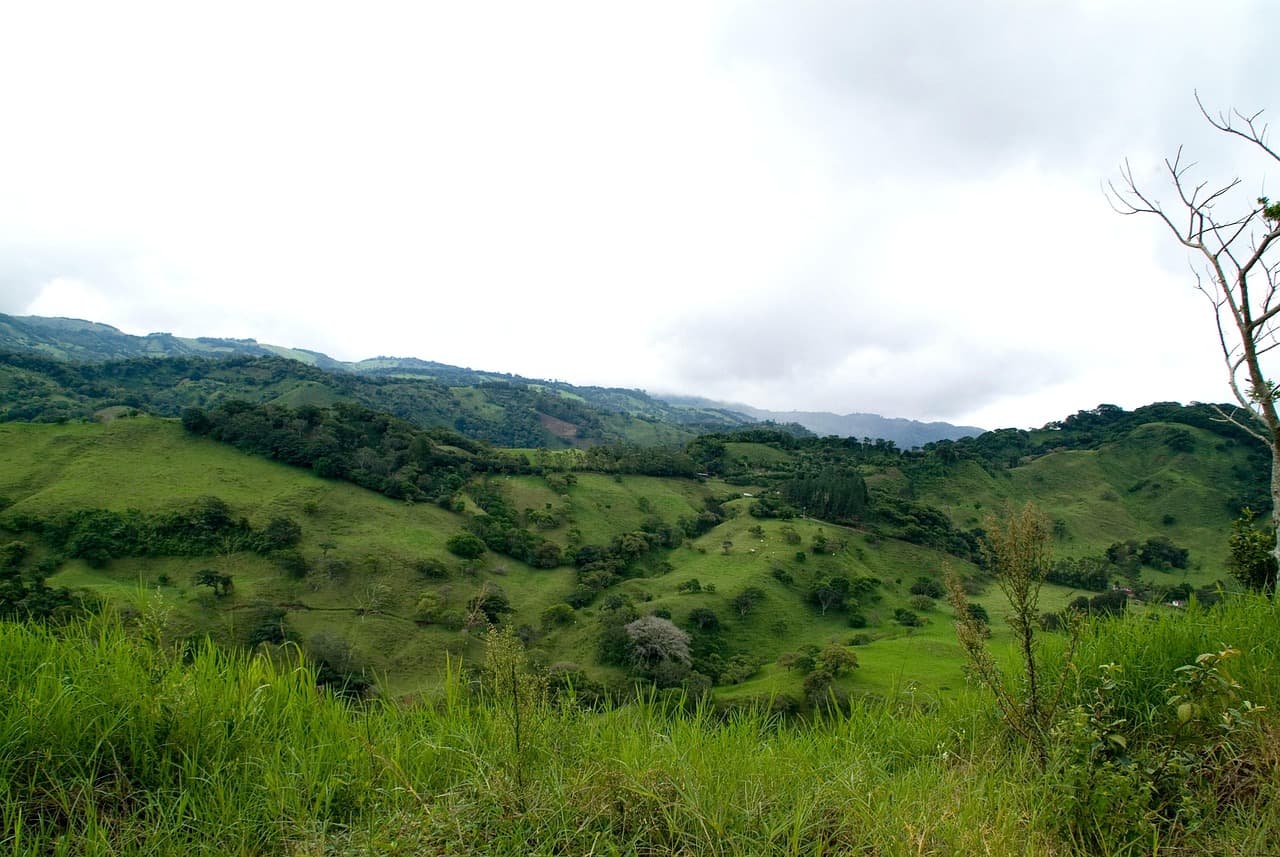 Paisaje natural de Costa Rica al aire libre, en el chat de León XIII