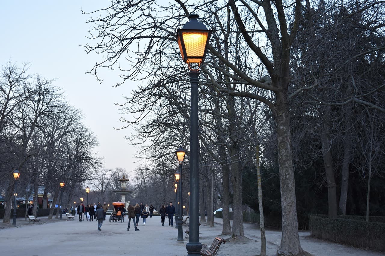 Luces en un parque urbano de noche, en el chat de El Retiro