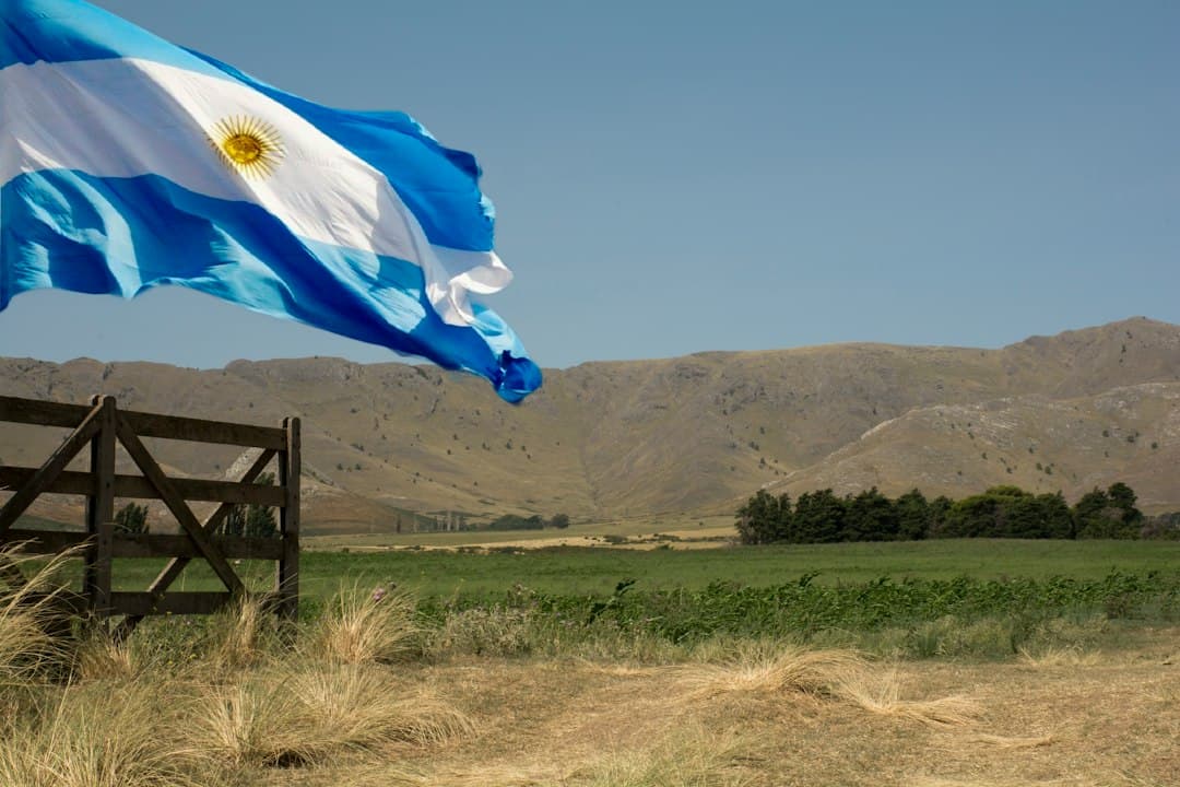 Bandera argentina sobre un paisaje rural, en el chat de General Pinedo