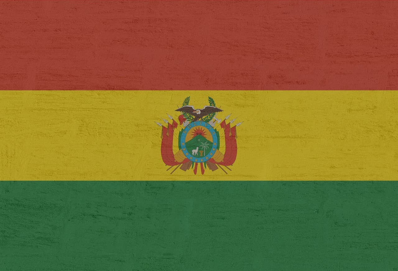 Bandera de Bolivia en una pancarta, en el chat de Tarvita