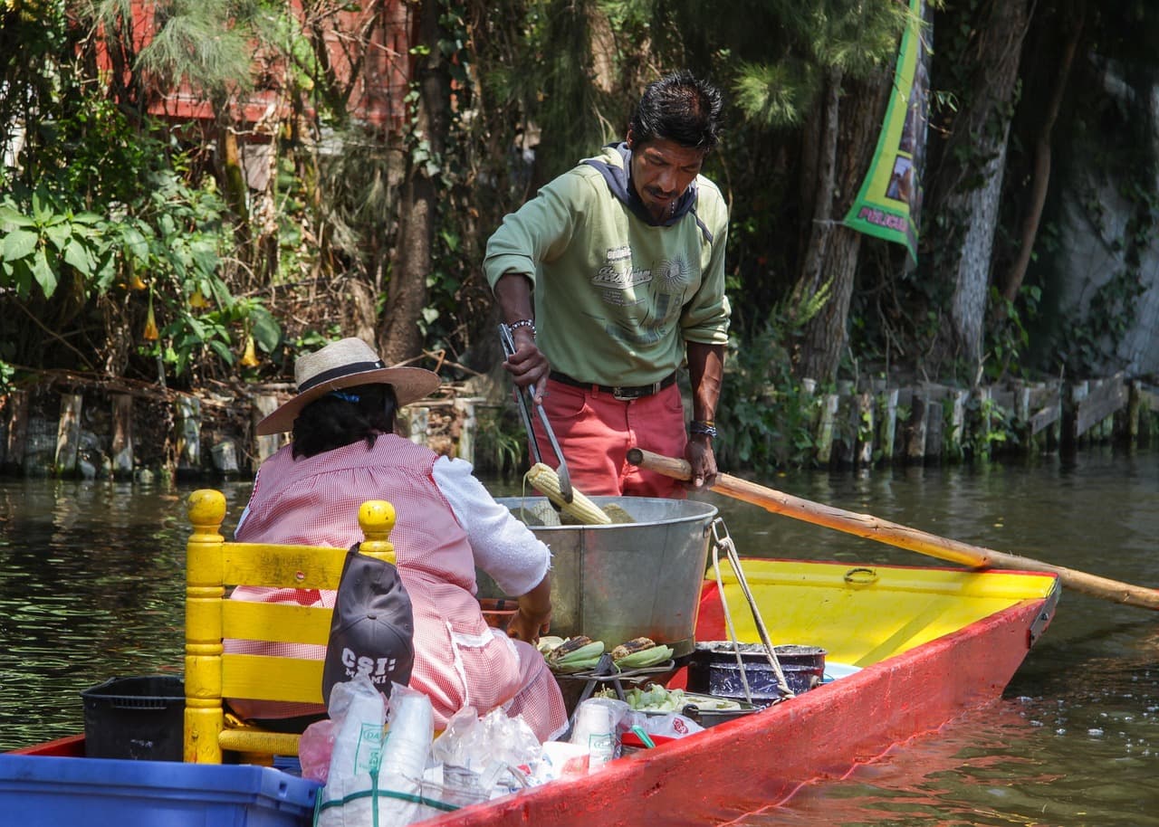 Trabajo en una chinampa de México, en el chat de Chinampa de Gorostiza