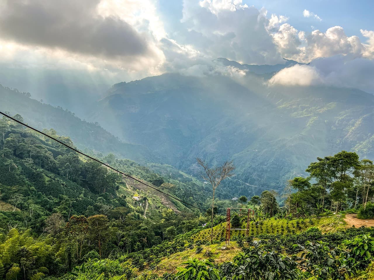 Montañas, árboles y cielo de Colombia, en el chat de Clemencia