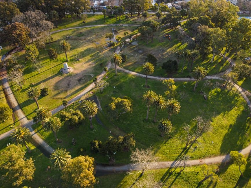 Vista aérea de un parque con palmeras verdes, en el chat de General Arenales