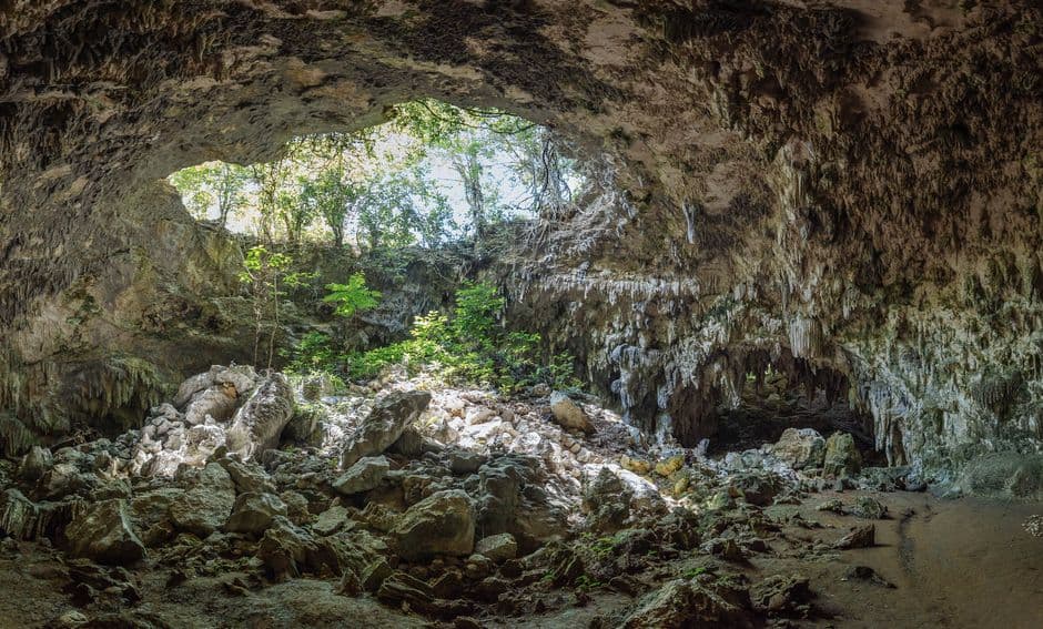 Cueva junto a unos árboles, en el chat de Cevicos