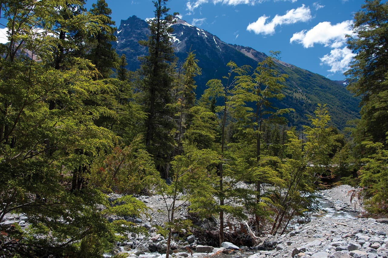 Turistas de vacaciones en Argentina, en el chat de Río Colorado