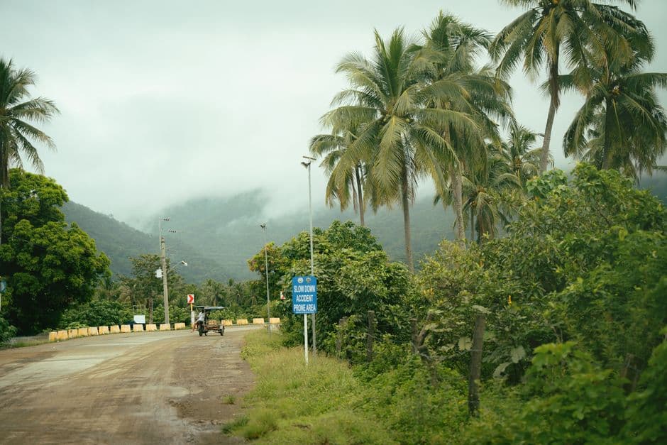Carretera entre un paisaje tropical con palmeras, en el chat de Cucuyagua