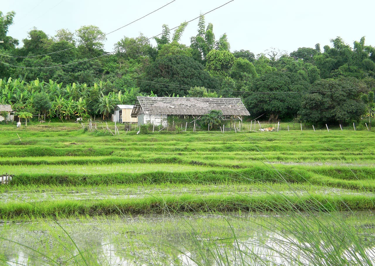 Granja antigua en La Unión, en el chat de La Unión