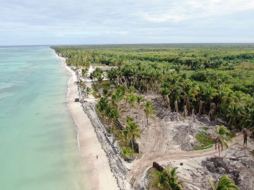 Vista aérea de una playa tropical y un bosque frondoso, en el chat de Galván