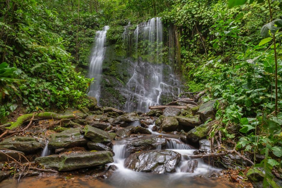 Una cascada tranquila en una selva frondosa de Costa Rica, en el chat de Gravilias