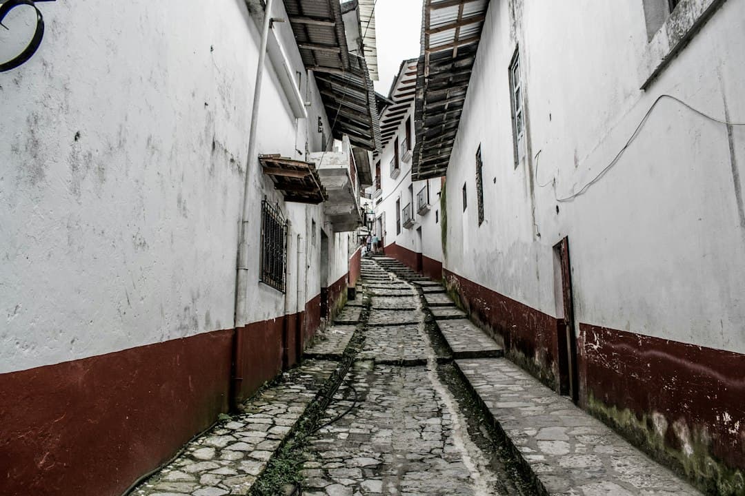 Vista de un callejón, en el chat de Ahuacatlán