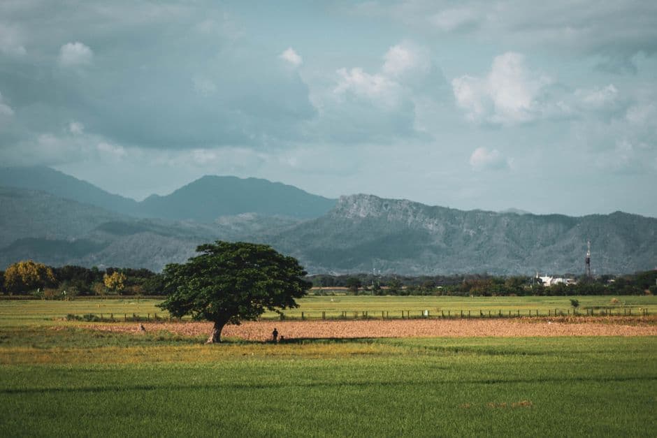 Campos verdes y montañas, en el chat de Erandique