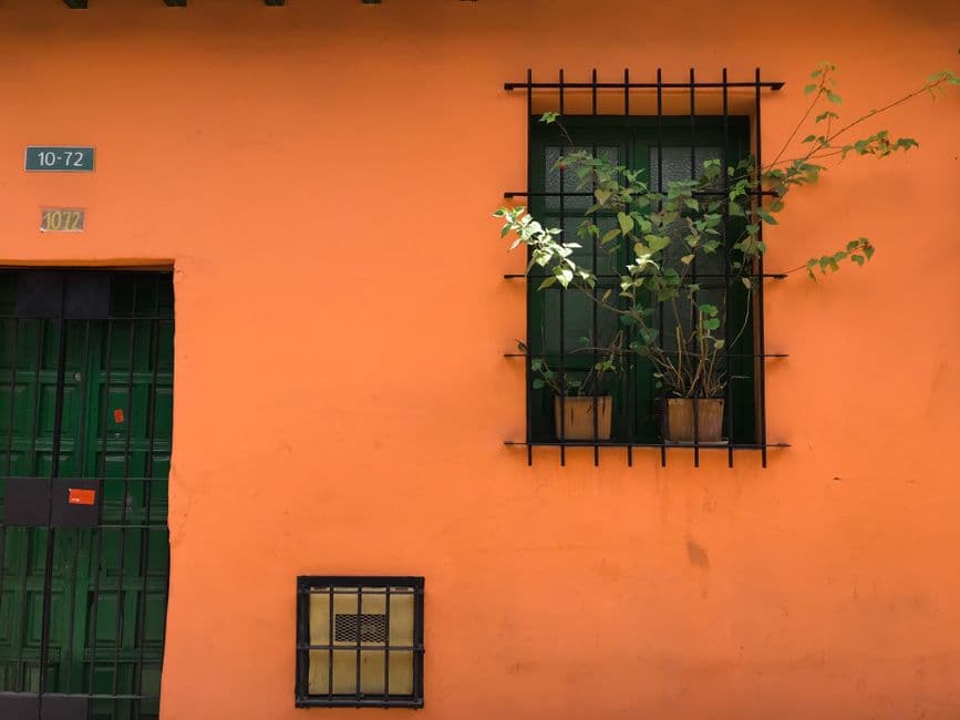 Rejas negras de acero en una ventana con plantas verdes, en el chat de La Apartada