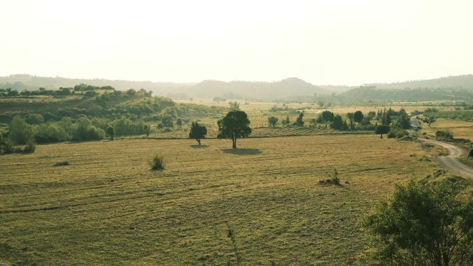 Un paisaje rural al amanecer, en el chat de Angamacutiro