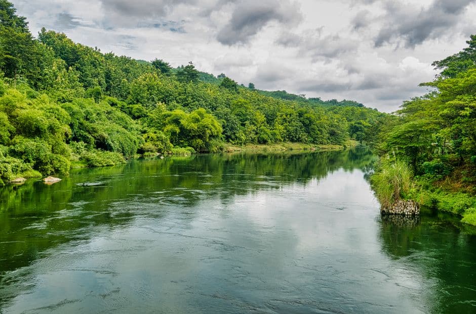 Un río que corre entre árboles, en el chat de Río San Juan