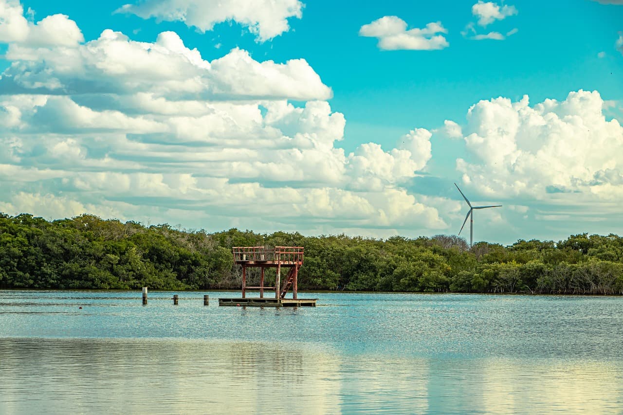 Un paisaje de Yucatán, México, en el chat de Tzucacab