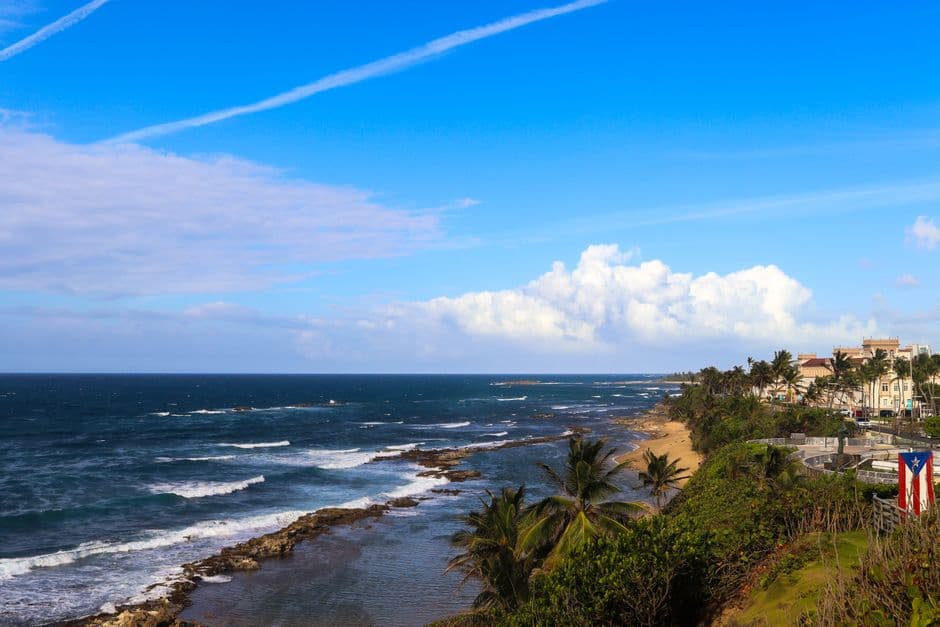 Una vista de la costa con palmeras y océano, en el chat de Jayuya
