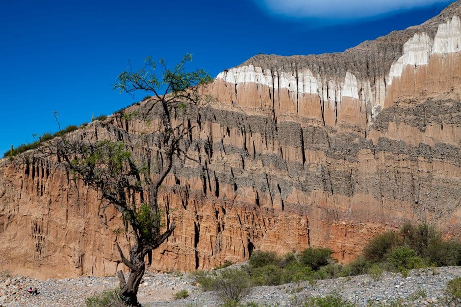 Acantilado de capas de roca con un árbol solitario, en el chat de Las Lajitas