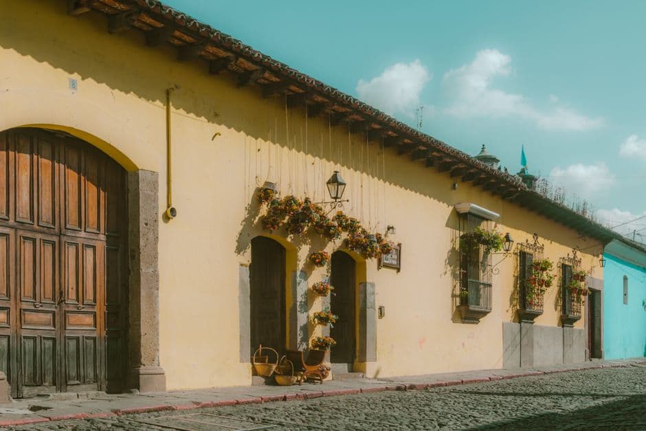 Flores sobre la pared de una casa, en el chat de Granados