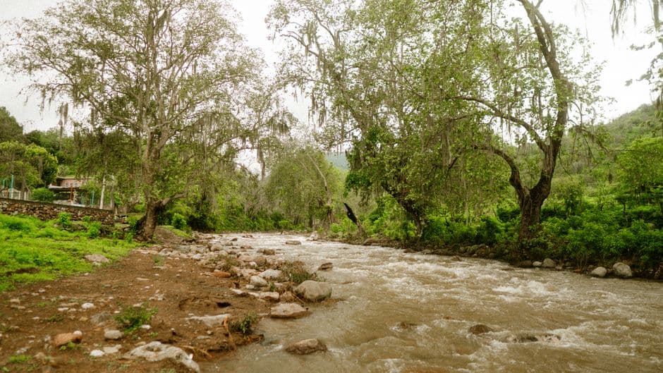 Río que atraviesa una zona de bosque, en el chat de San Ignacio Río Muerto
