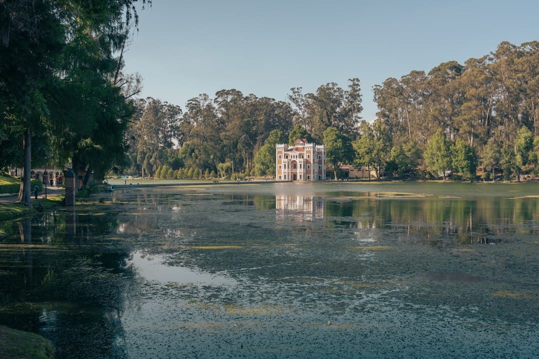 Palacio a orillas de un lago reflejado en el agua en calma, en el chat de Coyomeapan