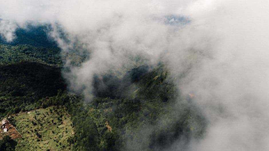 Vista aérea de montañas con niebla en Chiapas, en el chat de Tapilula