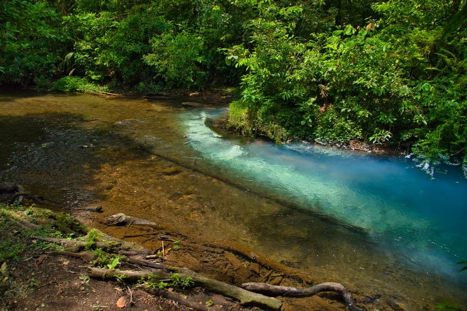 Árboles verdes junto a un río, en el chat de Río Cuarto