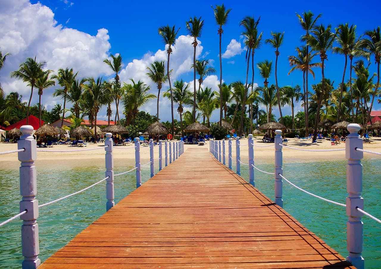 Palmeras tropicales de República Dominicana, en el chat de Arenoso