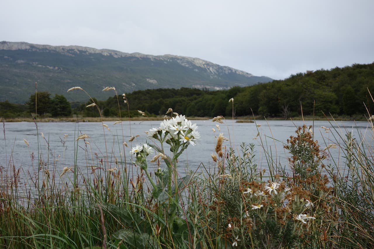 Paisaje de Argentina, en el chat de San José del Rincón