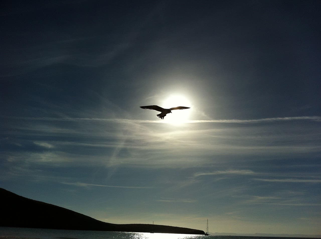 Costa de México junto al mar, en el chat de Padilla