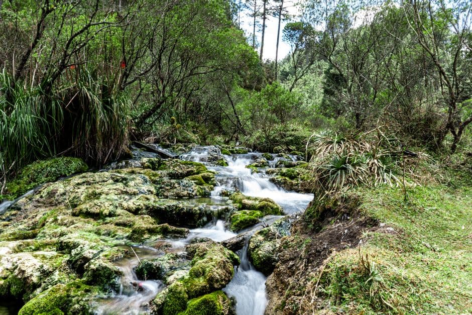 Arroyo entre rocas en medio de un bosque, en el chat de San Rafael Pétzal