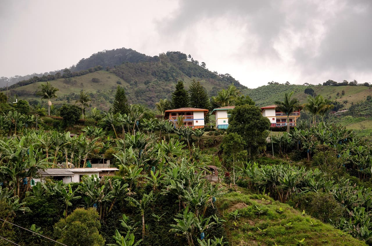 Zona cafetera de Colombia en los alrededores de Jardín, en el chat de Jardín