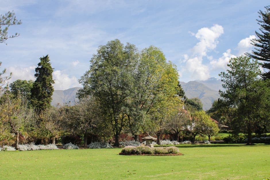 Parque tranquilo en Cochabamba, en el chat de San Benito