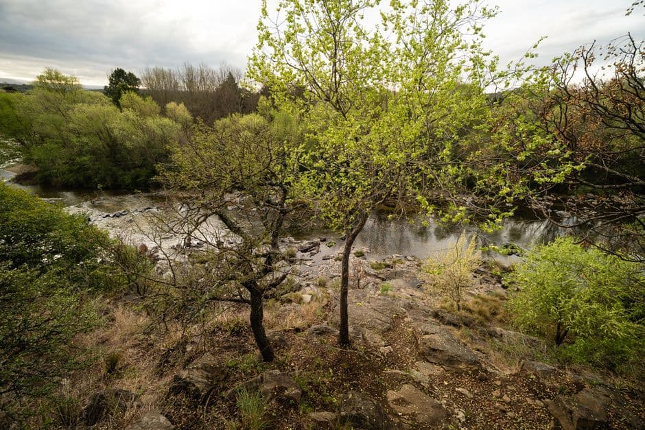 Río serpenteante entre vegetación verde bajo cielo azul, en la sala de chat de Santa Rosa