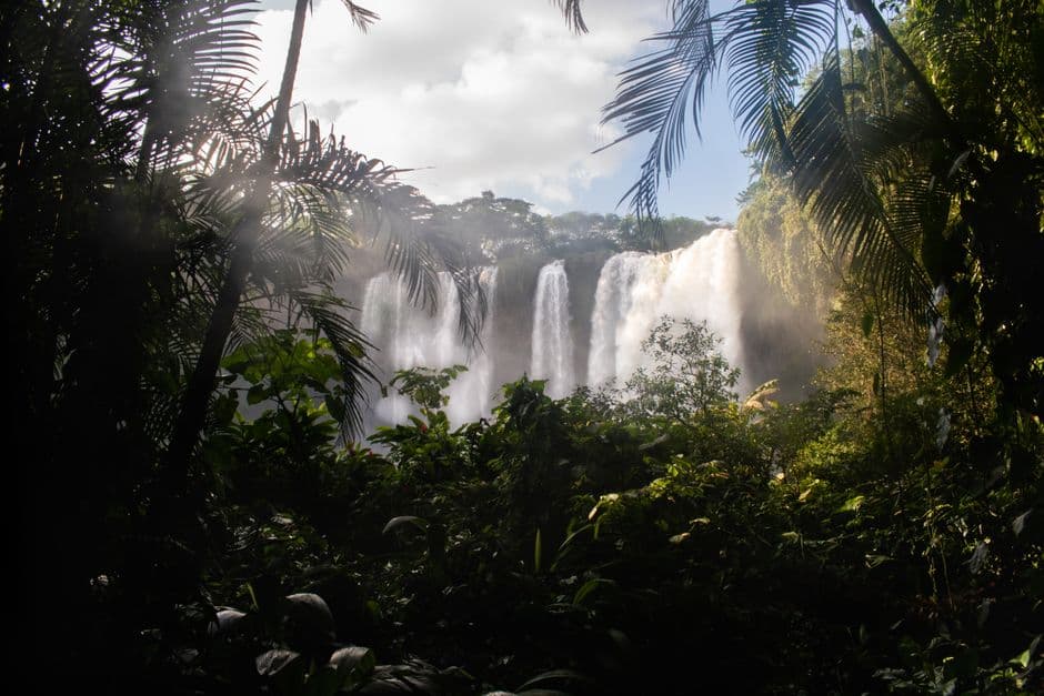 Cascada entre selva densa y rocas cubiertas de musgo, en el chat de San Andrés Míxquic