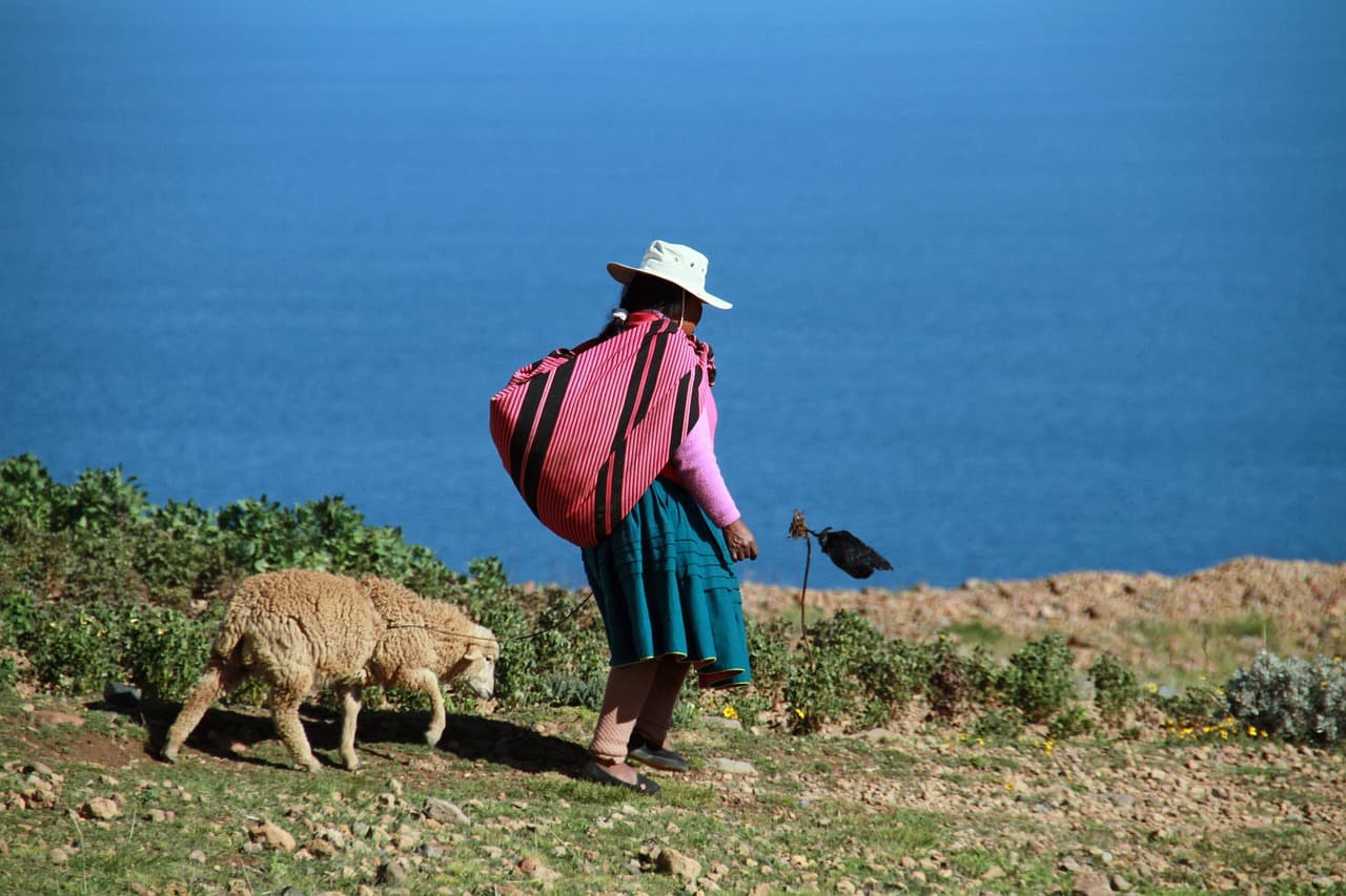 Lago andino con una isla en Perú, en el chat de Lampa