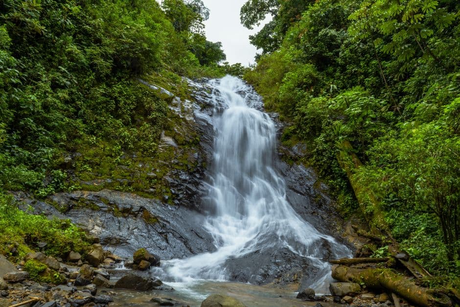 Cascada serena entre vegetación tropical de la selva costarricense, en el chat de La Virgen