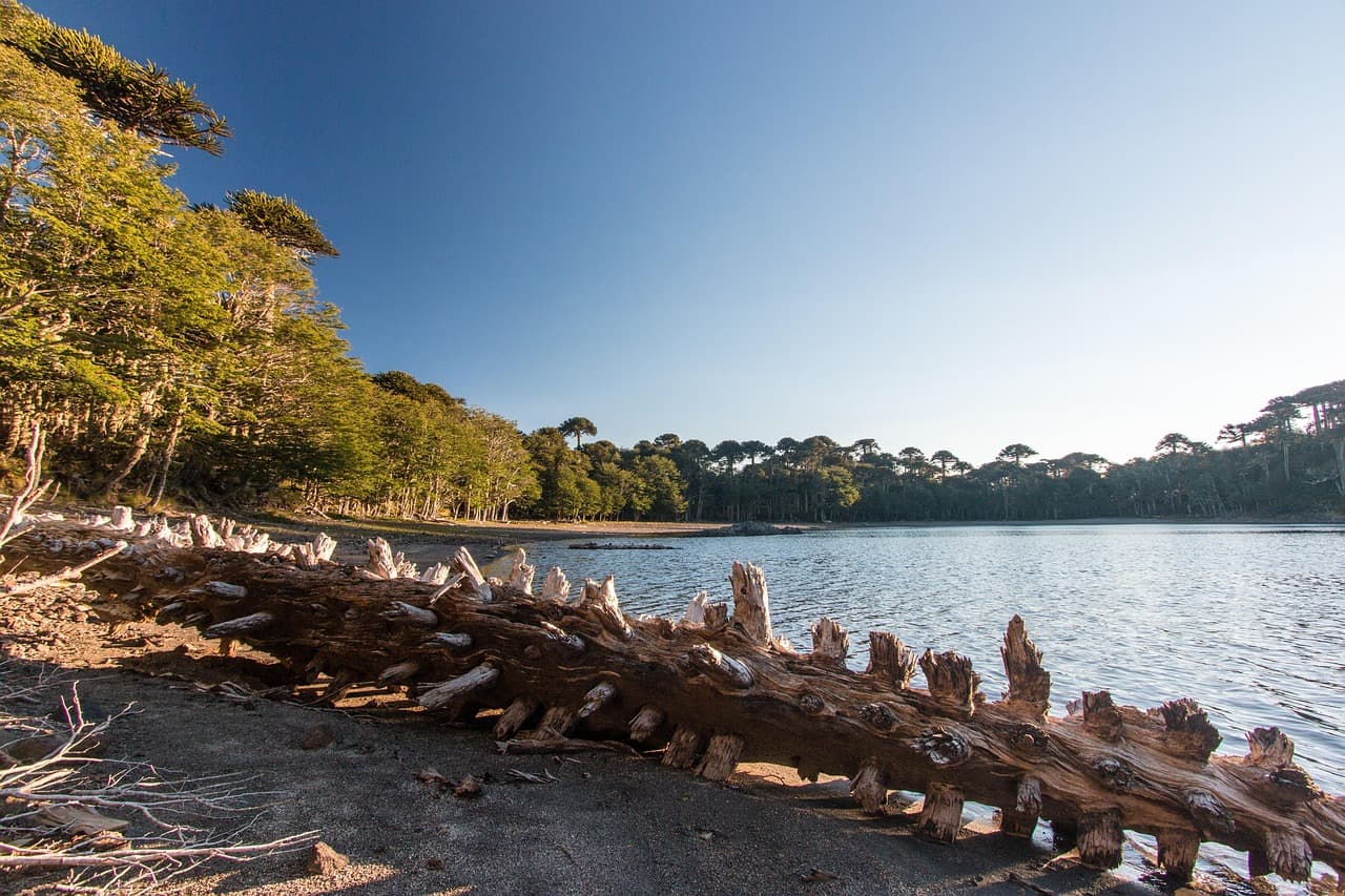 Paisaje de Chile, en el chat de Pichilemu