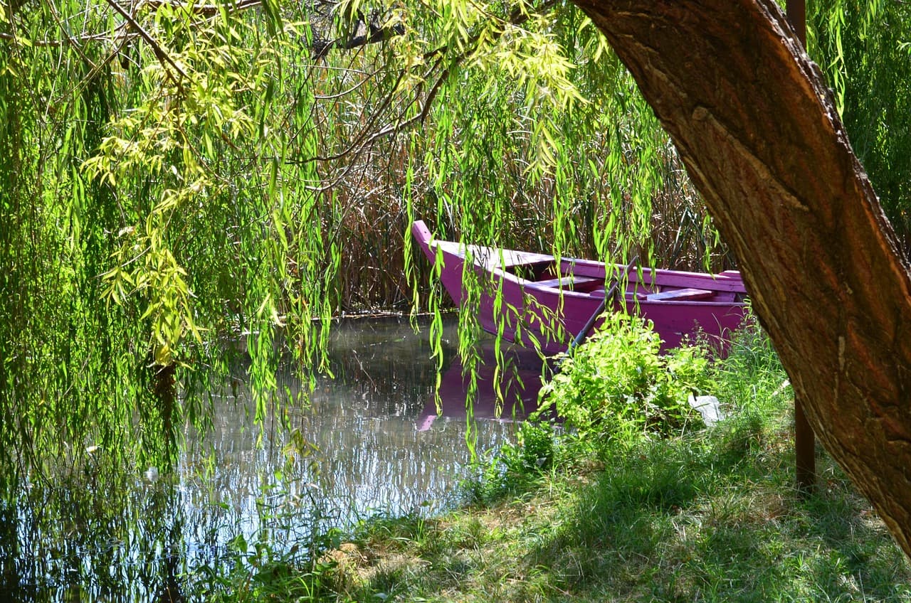 Barca en una laguna junto al río, en el chat de Brus Laguna