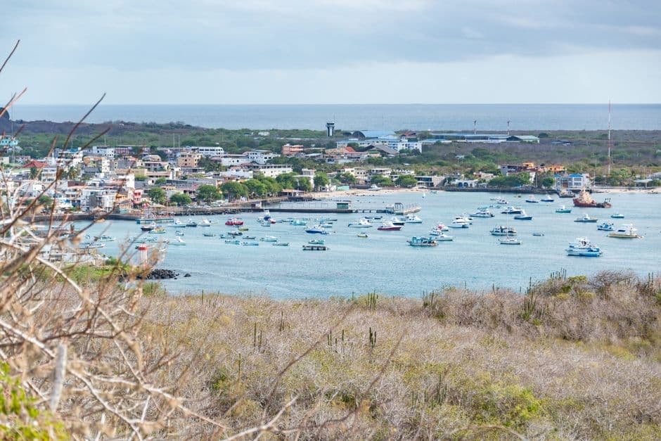 Pueblo en una bahía de la costa, en el chat de Puerto Ayora