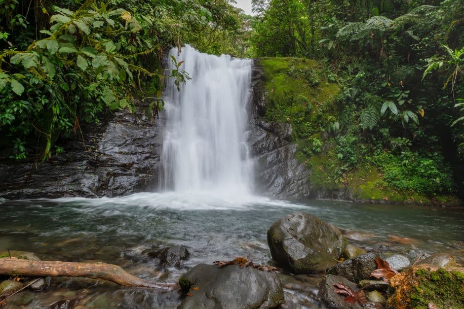 Cascada en un bosque frondoso de Costa Rica, en el chat de Escazú