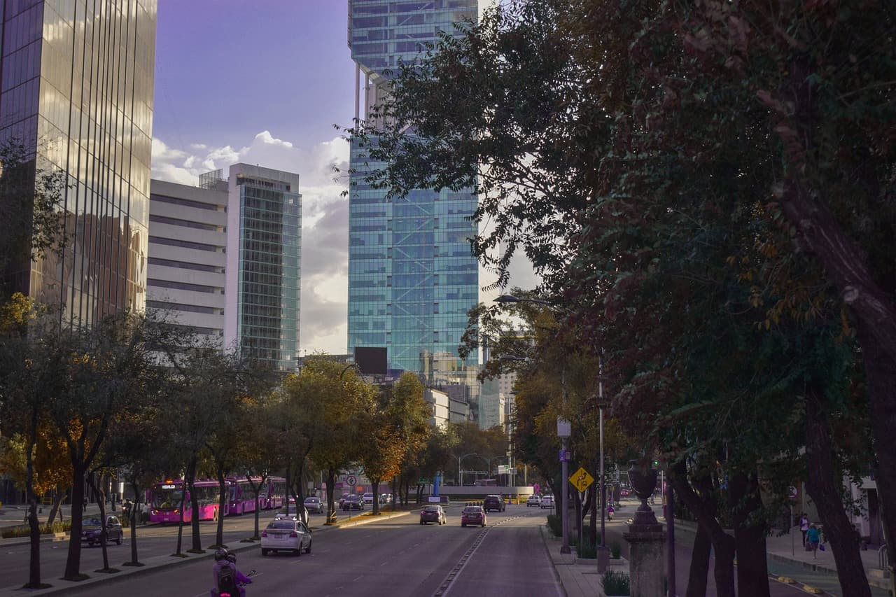 Avenida con coches y tráfico, en el chat de Nealtican