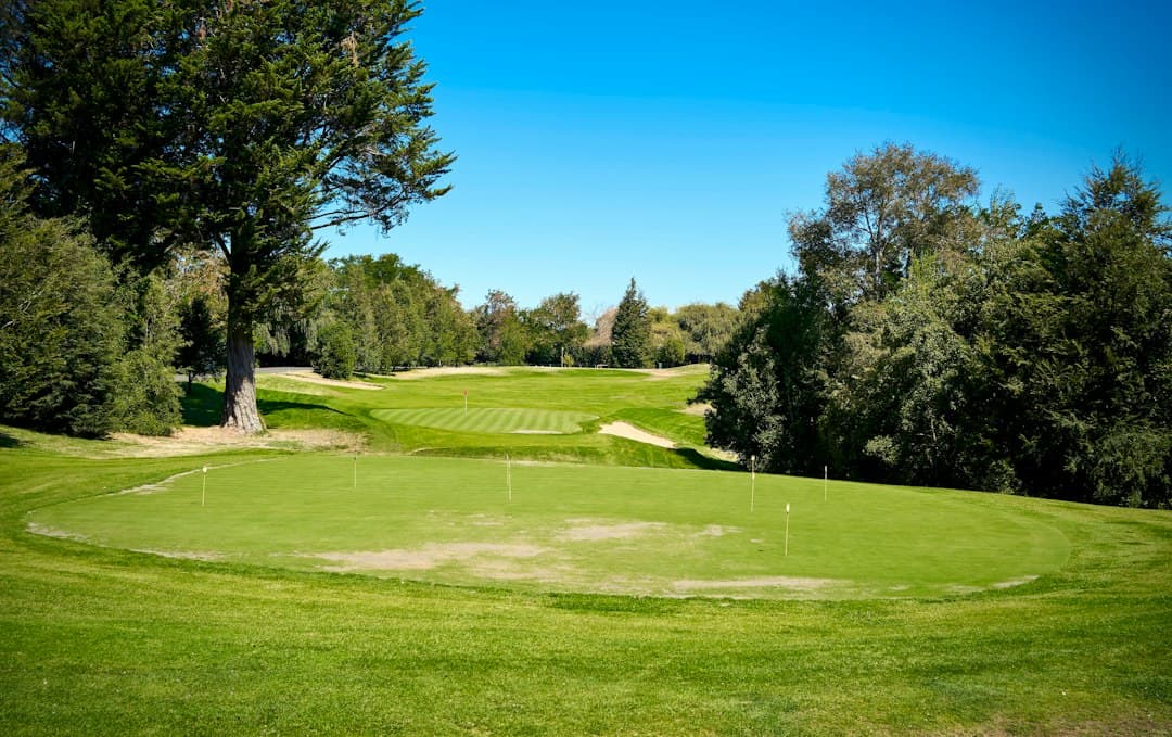 Prado verde con árboles bajo cielo azul, en el chat de Los Ángeles