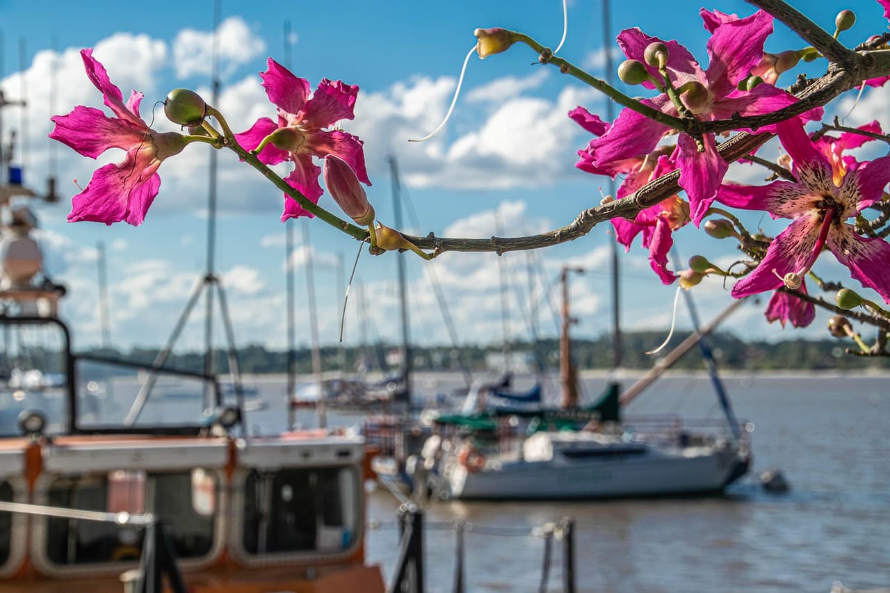 Colonia del Sacramento, Uruguay, con calles empedradas y casas coloniales bajo cielo despejado, en el chat de Juan Lacaze