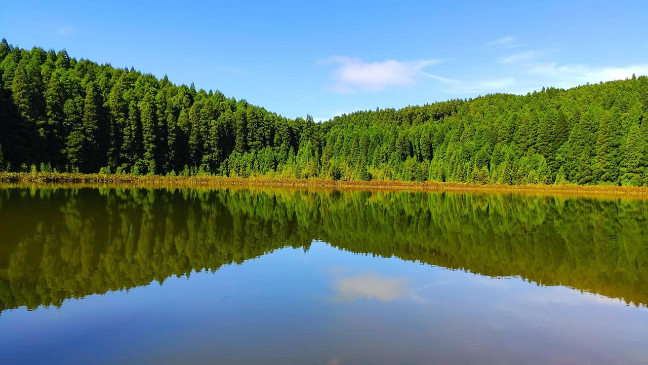 Lago rodeado de vegetación, en el chat de San Miguel Xoxtla