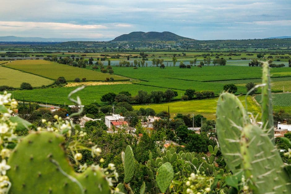 Paisaje rural lleno de color con cactus y campos de cultivo, en el chat de Mecatlán