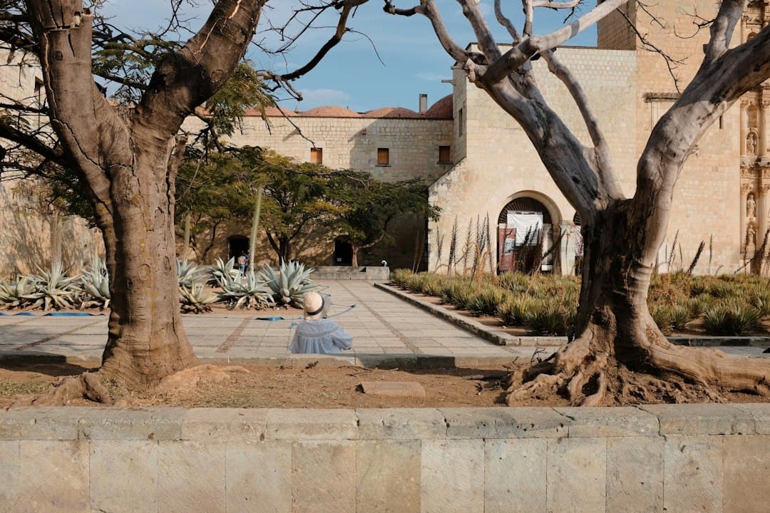 Edificio con patio y árboles delante, en el chat de San Martín Peras